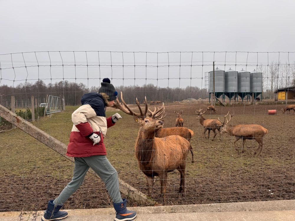 Vaikai, dalyvavo edukacijoje Tauriųjų elnių ūkije